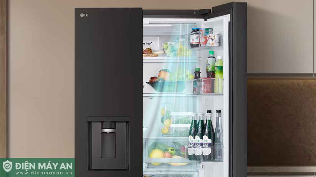 Tủ Lạnh LG Inverter 571 Lít Multi Door F58BGD